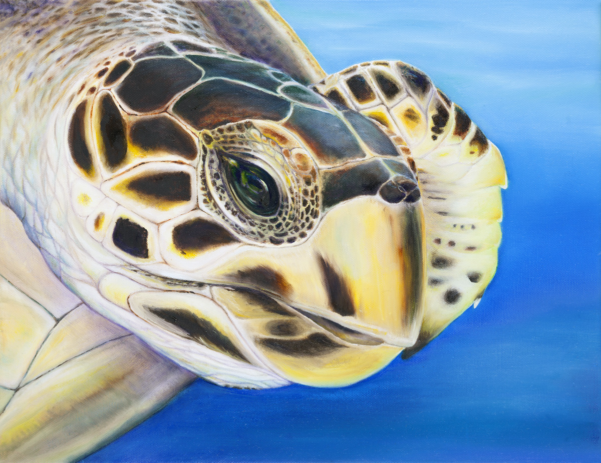 Sea Turtle Art – Turtle Lady Art