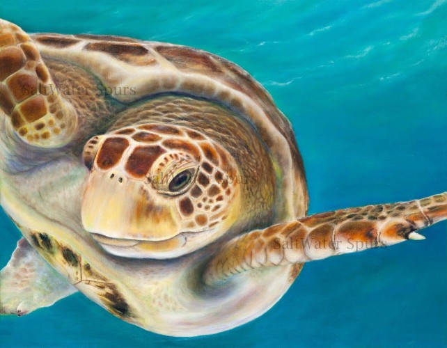 Sea Turtle Art – Turtle Lady Art