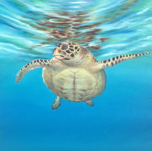 Sea Turtle Art – Turtle Lady Art