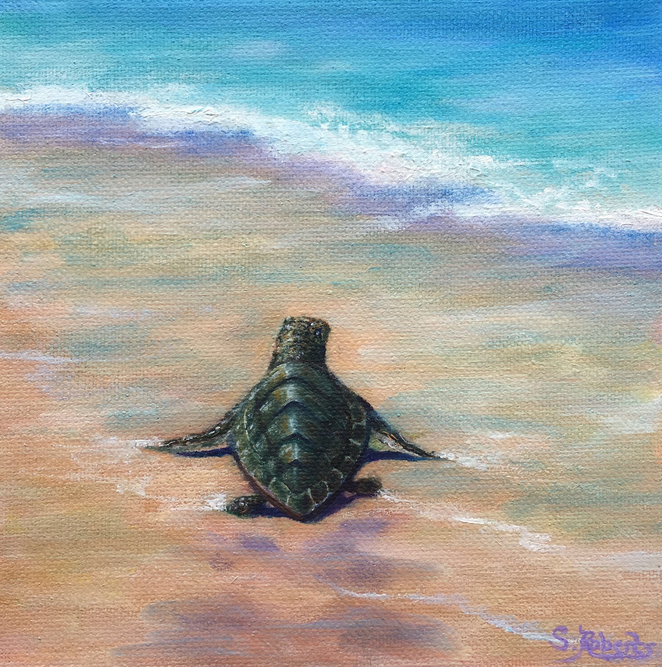 Sea Turtle Art – Turtle Lady Art