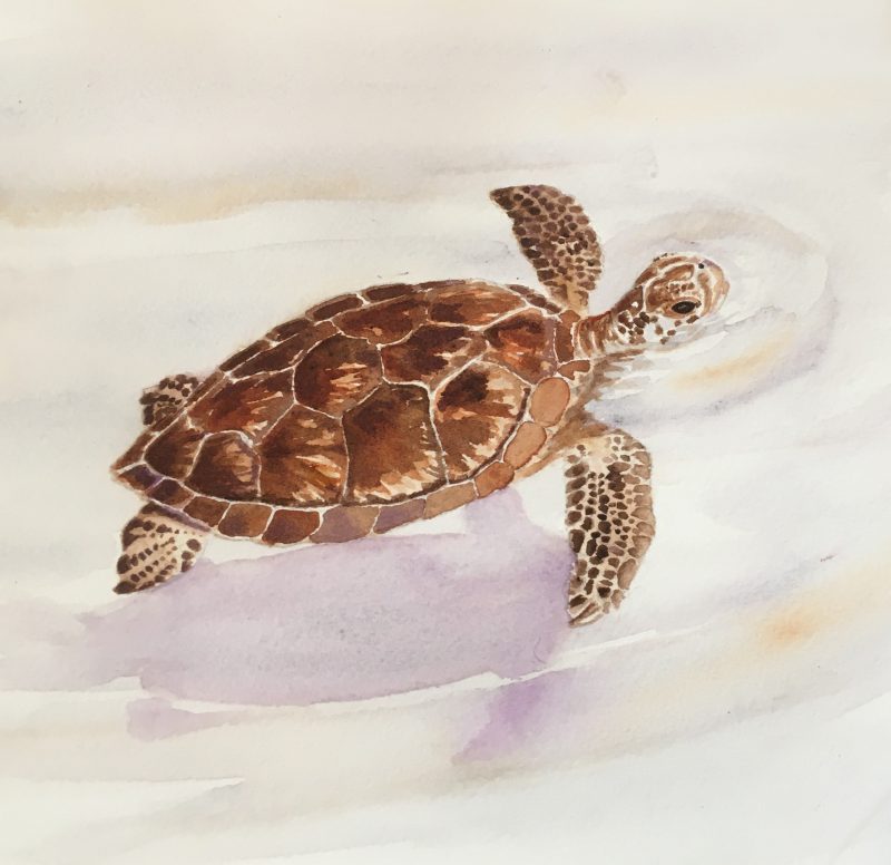 Sea Turtle Art – Turtle Lady Art